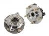 комплекс ступичного подшипника Wheel Hub Bearing:513133