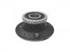 轮毂轴承单元 Wheel Hub Bearing:TGB12095S42